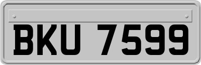 BKU7599