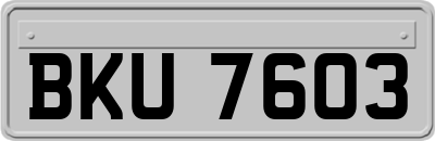 BKU7603