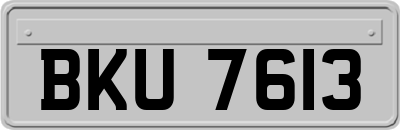 BKU7613