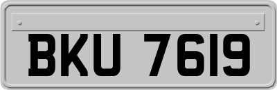 BKU7619
