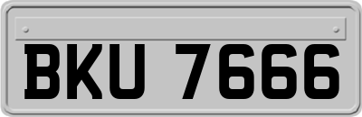 BKU7666