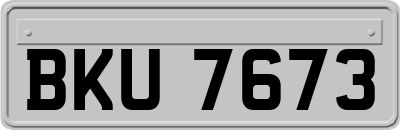 BKU7673