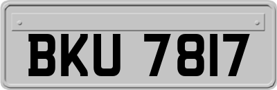 BKU7817