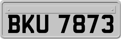 BKU7873