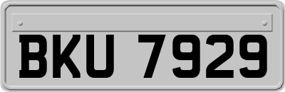 BKU7929