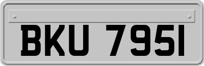 BKU7951