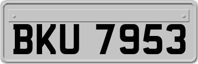 BKU7953