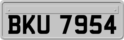 BKU7954