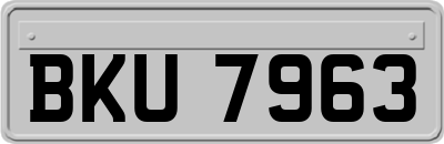 BKU7963