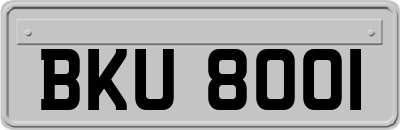 BKU8001