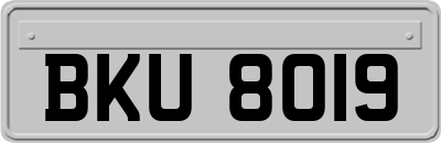 BKU8019