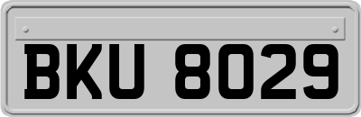 BKU8029