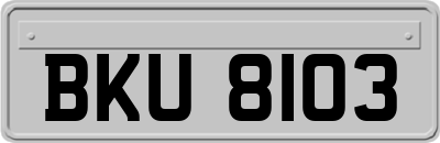 BKU8103