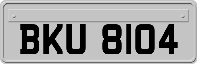 BKU8104