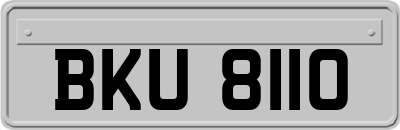 BKU8110