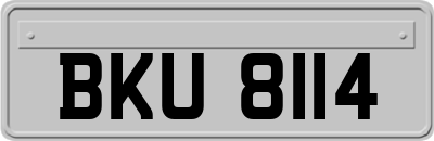 BKU8114