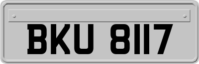 BKU8117