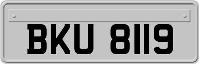 BKU8119