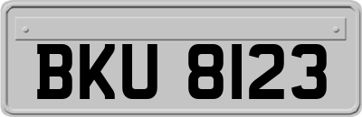 BKU8123