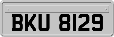 BKU8129
