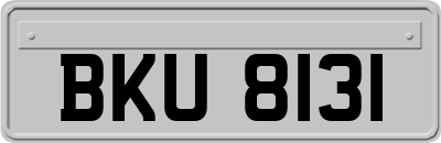 BKU8131