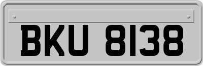 BKU8138