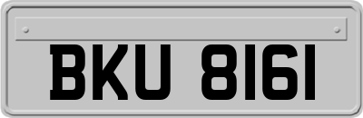 BKU8161