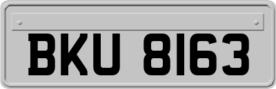 BKU8163