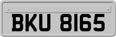 BKU8165