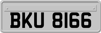 BKU8166