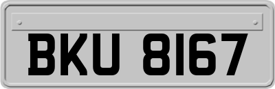 BKU8167