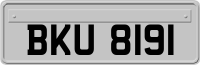 BKU8191