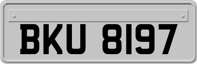 BKU8197