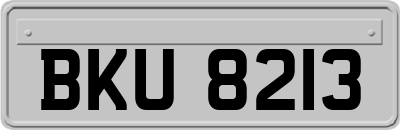 BKU8213