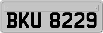 BKU8229