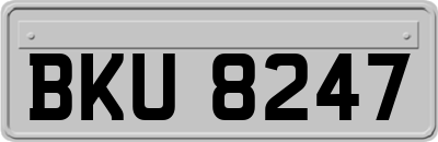 BKU8247
