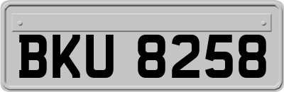 BKU8258