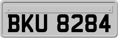 BKU8284