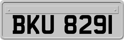 BKU8291