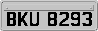 BKU8293