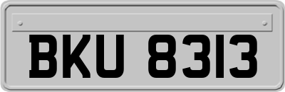 BKU8313