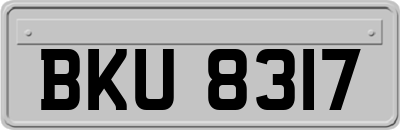 BKU8317