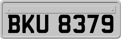 BKU8379
