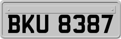 BKU8387