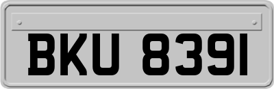 BKU8391