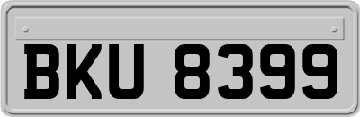 BKU8399