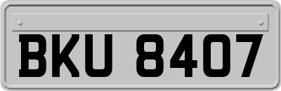 BKU8407