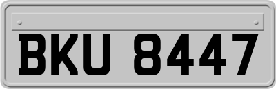 BKU8447