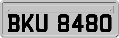 BKU8480