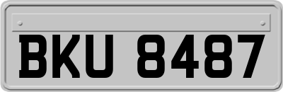 BKU8487